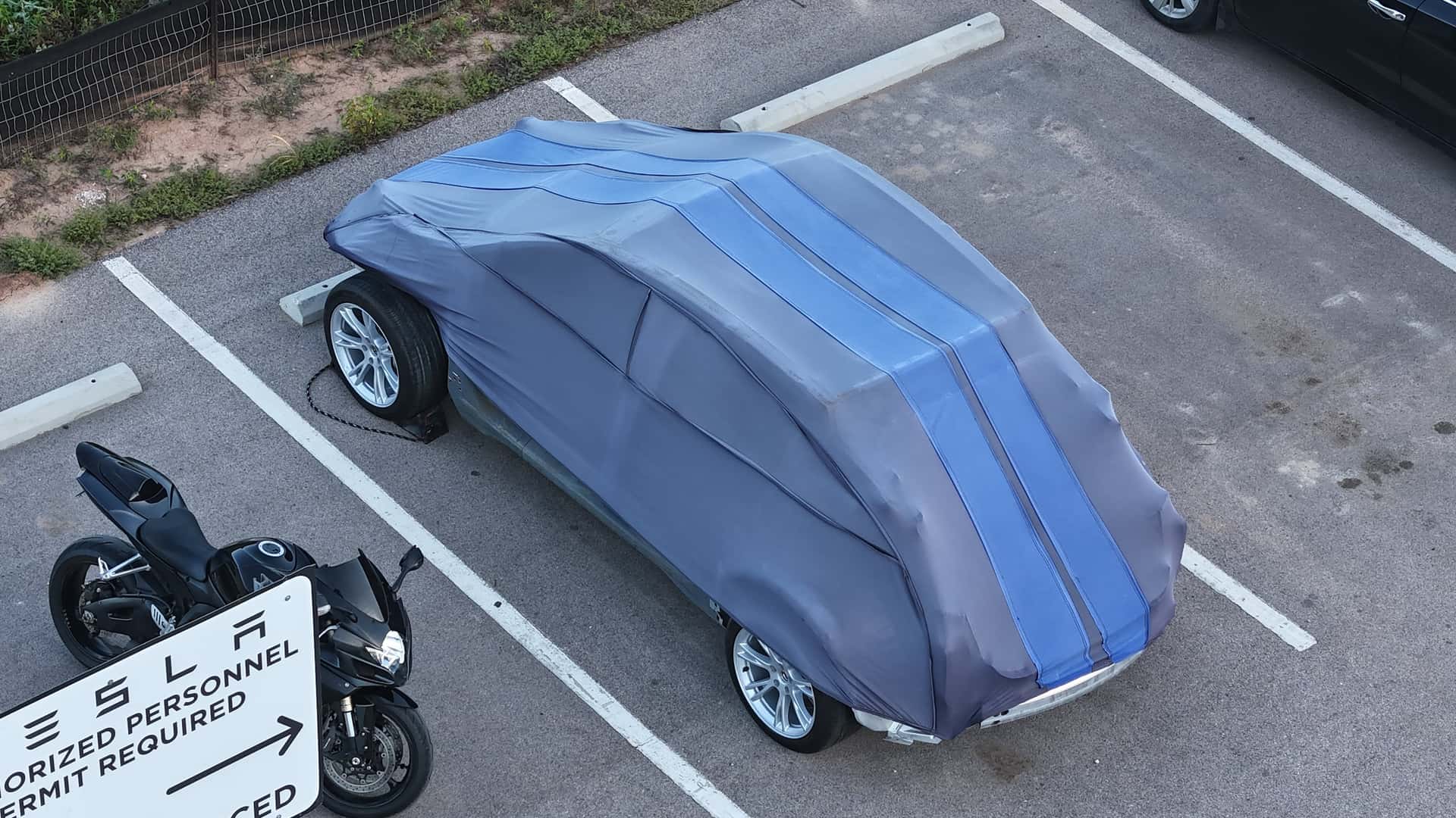 Avvistate le auto elettriche economiche di Tesla? 1