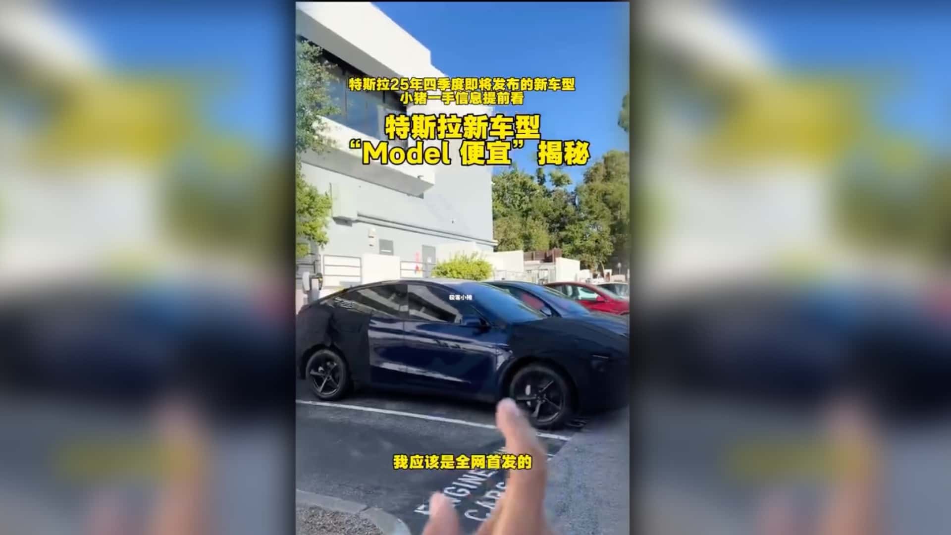 avvistata la Tesla Model Y economica 1