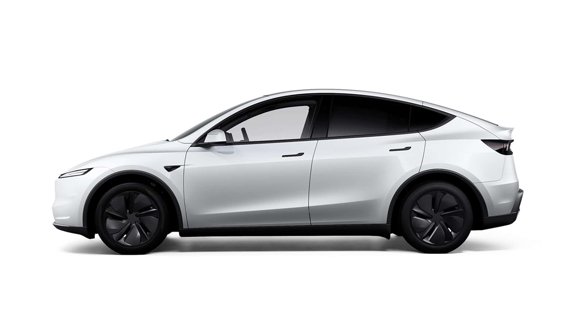 Avvistata la Tesla Model Y economica (e spoilerati i prezzi) 1